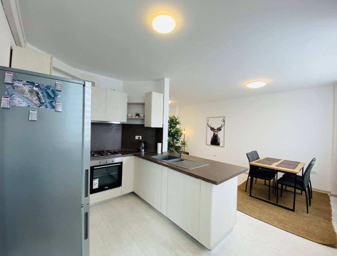 Charming Flat In Brasov With Balcony Panoramic View Lägenhet Exteriör bild